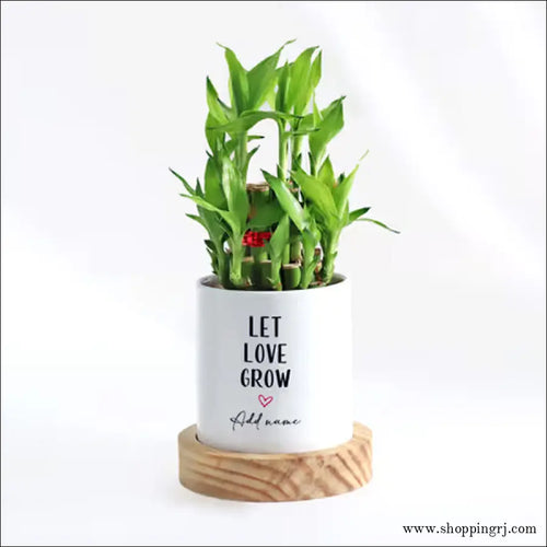 2-Layer Bamboo Plant With Pot - Personalized LUCKY PLANT
