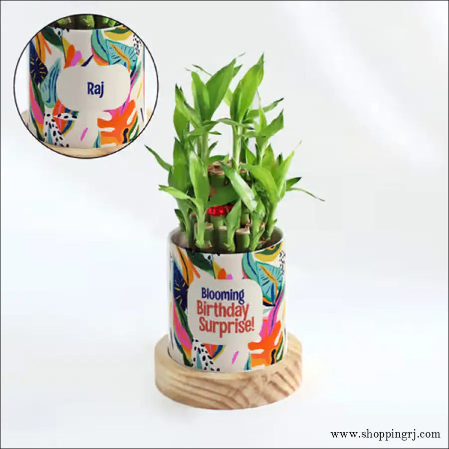2-Layer Bamboo Plant With Pot - Personalized LUCKY PLANT