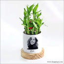2-Layer Bamboo Plant With Pot - Personalized LUCKY PLANT