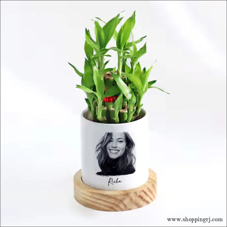 2-Layer Bamboo Plant With Pot - Personalized LUCKY PLANT