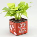 Personalized Photo,Money Plant