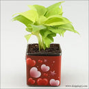 Personalized Photo,Money Plant