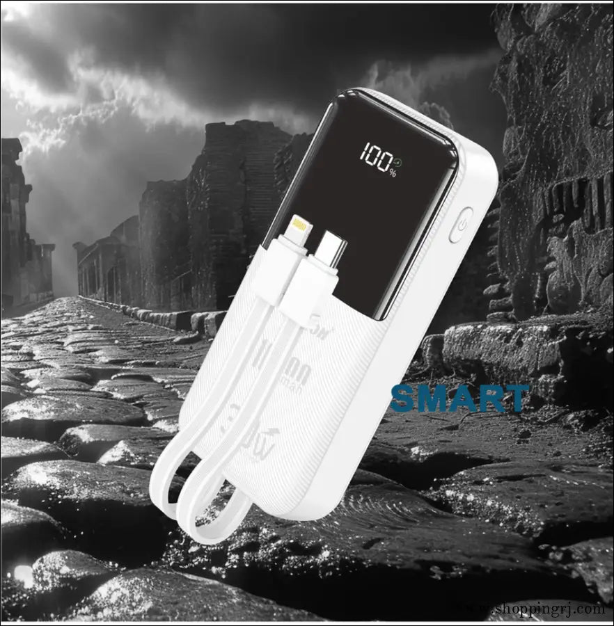 Ticon PD-209 Power Bank – High-Capacity 30W QUICK Fast Charging